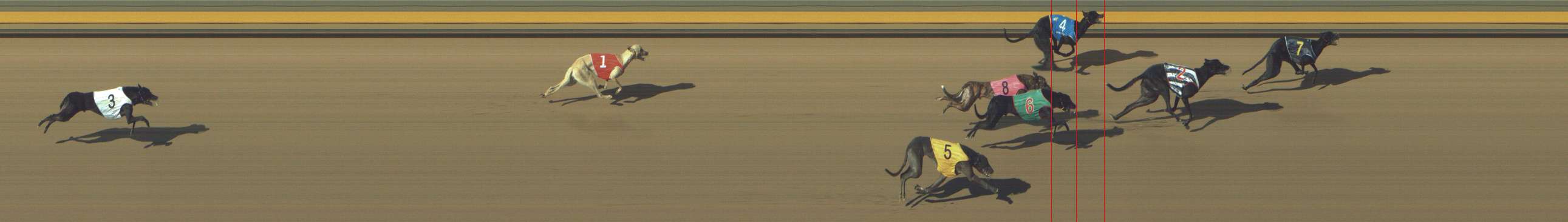 Photo finish for Shepparton Race 7