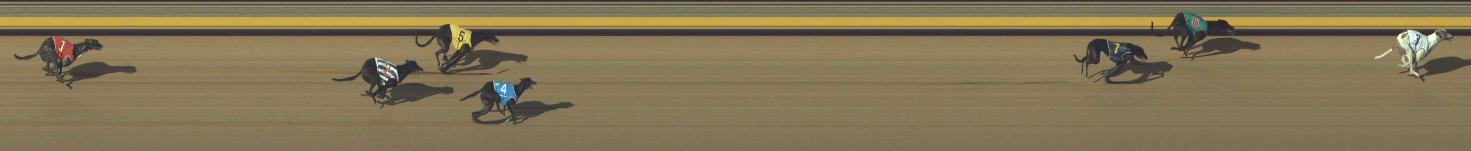 Photo finish for Shepparton Race 8