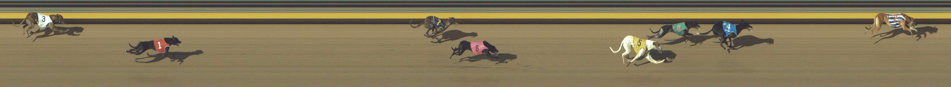 Photo finish for Shepparton Race 9