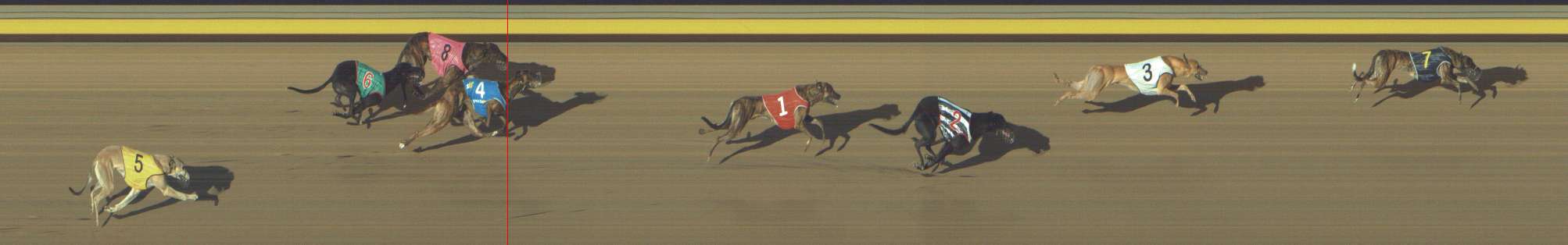 Photo finish for Shepparton Race 11