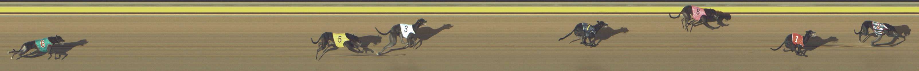 Photo finish for Shepparton Race 12