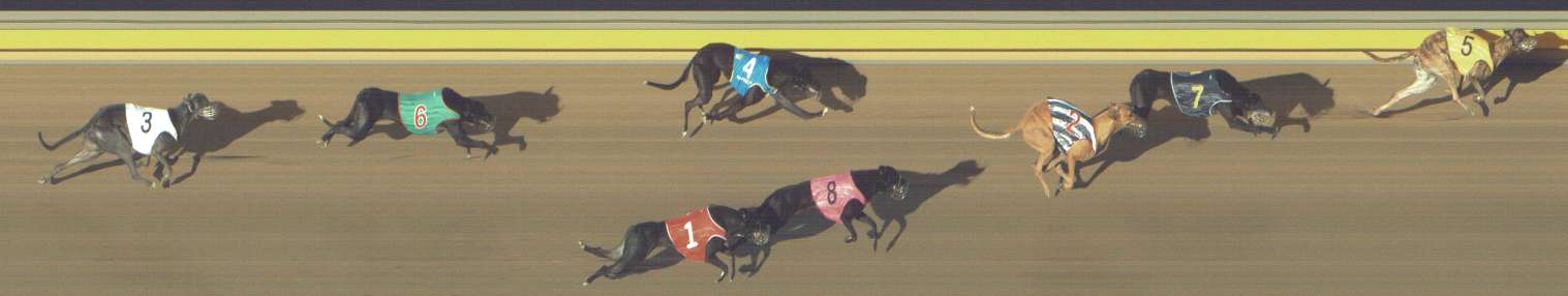 Race result finish photo