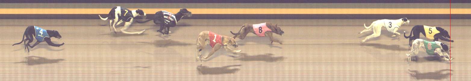 Photo finish for Shepparton Race 2