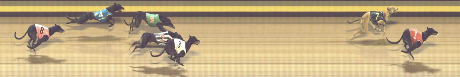 Photo finish for Shepparton Race 4