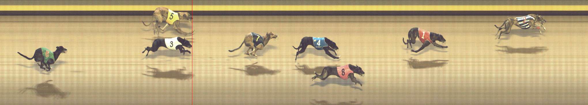 Photo finish for Shepparton Race 5