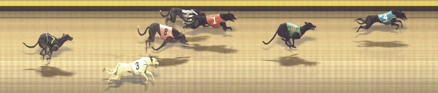 Photo finish for Shepparton Race 8