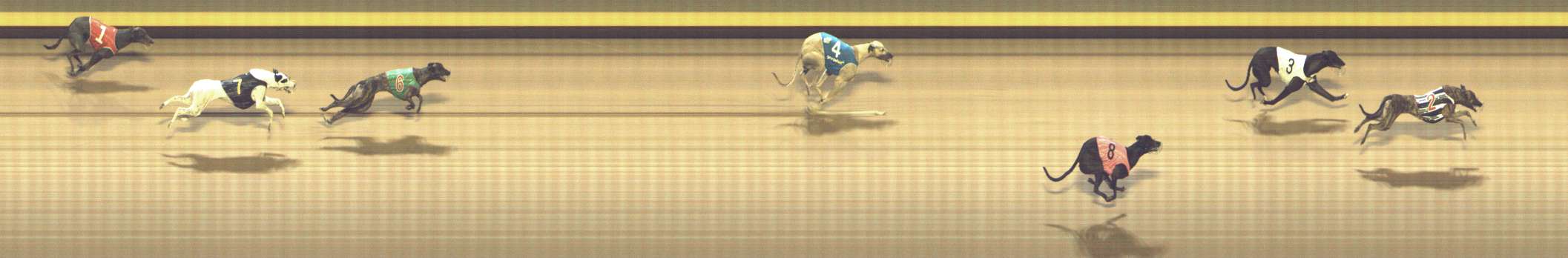 Photo finish for Shepparton Race 9