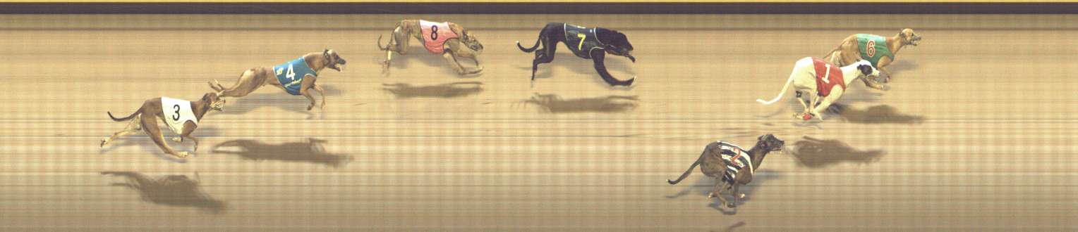 Photo finish for Shepparton Race 10