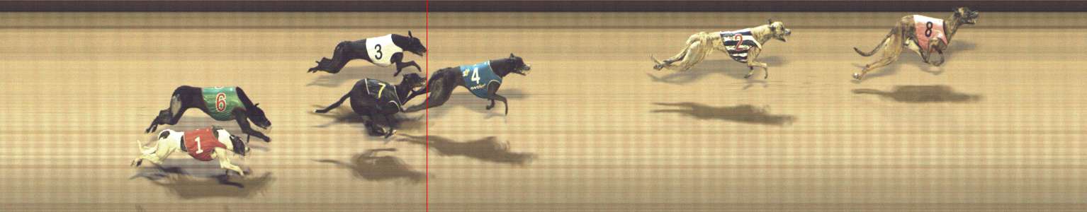 Photo finish for Shepparton Race 11