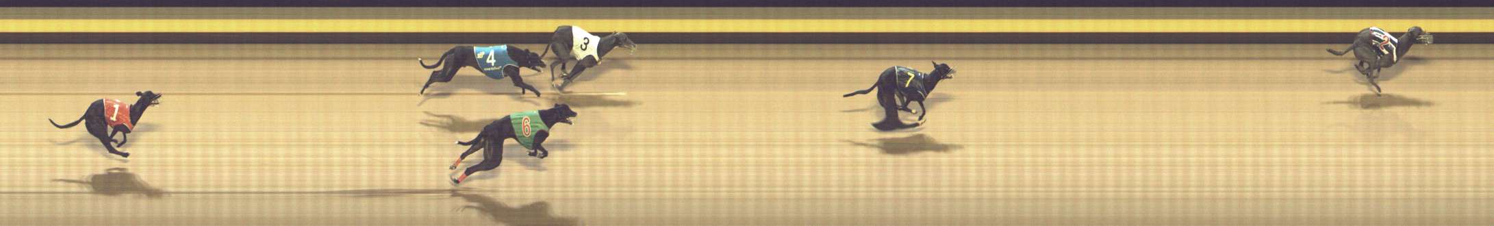 Photo finish for Shepparton Race 12