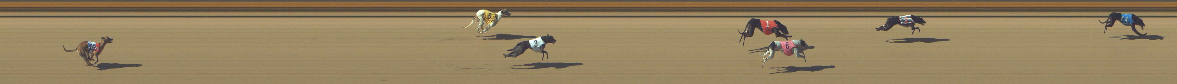 Photo finish for Shepparton Race 3