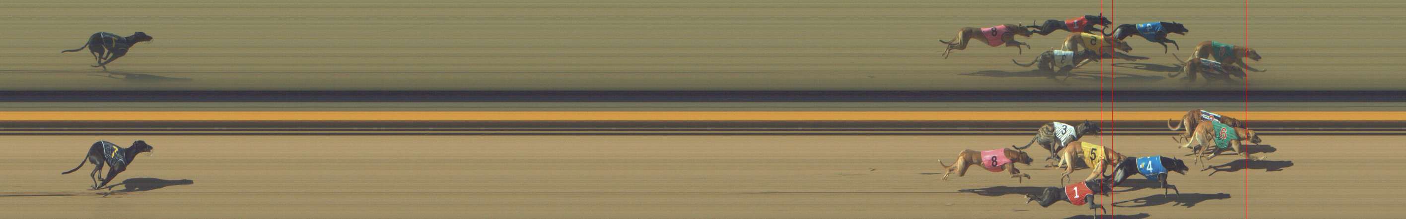 Photo finish for Shepparton Race 6
