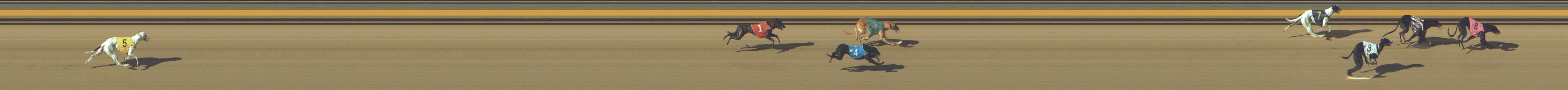 Photo finish for Shepparton Race 7