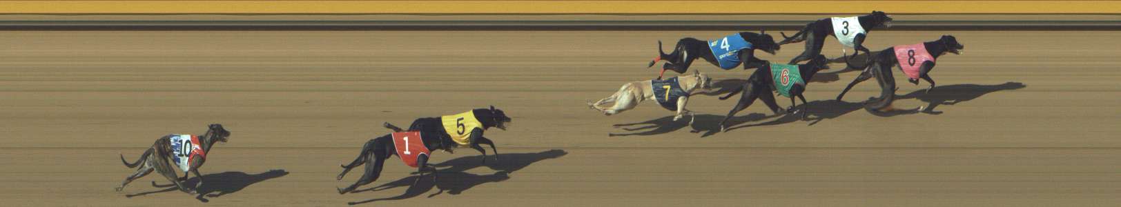 Photo finish for Shepparton Race 8