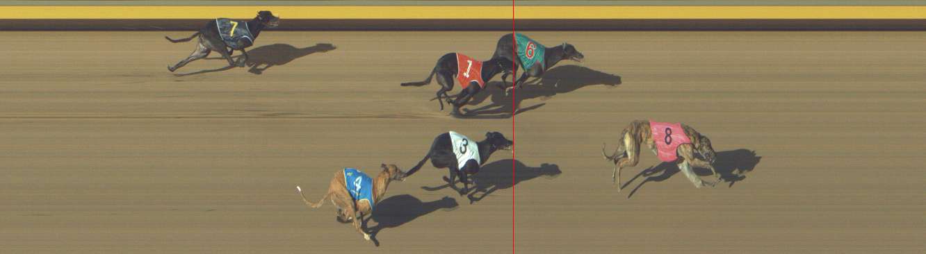 Photo finish for Shepparton Race 10