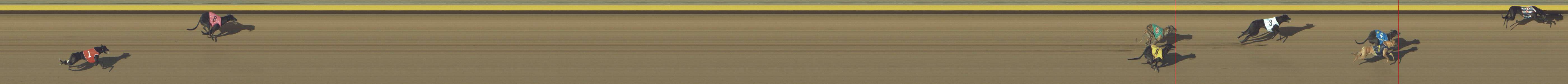 Photo finish for Shepparton Race 11