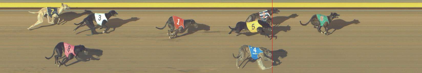Photo finish for Shepparton Race 12
