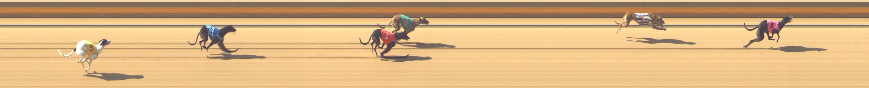 Photo finish for Shepparton Race 1