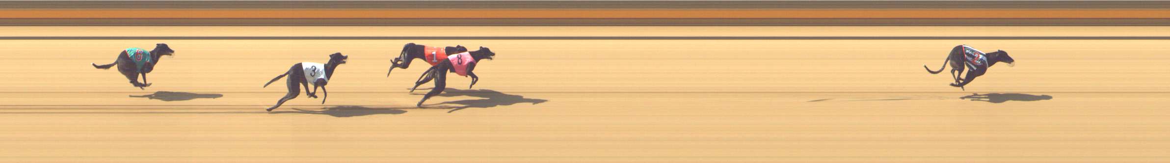 Photo finish for Shepparton Race 2