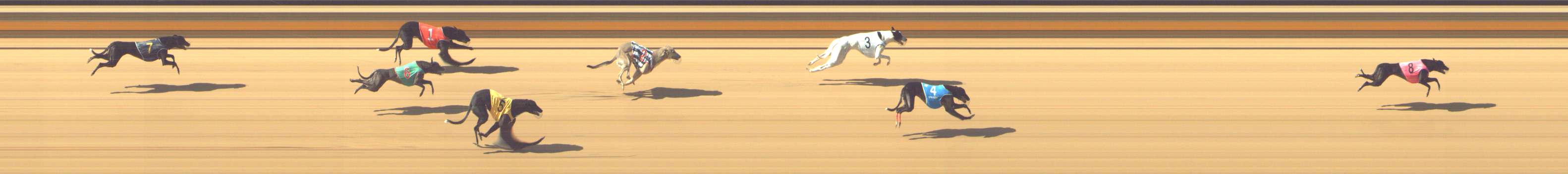Photo finish for Shepparton Race 3