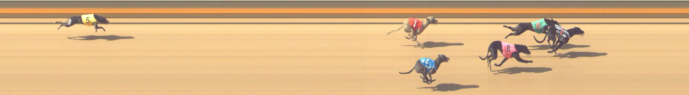 Photo finish for Shepparton Race 4