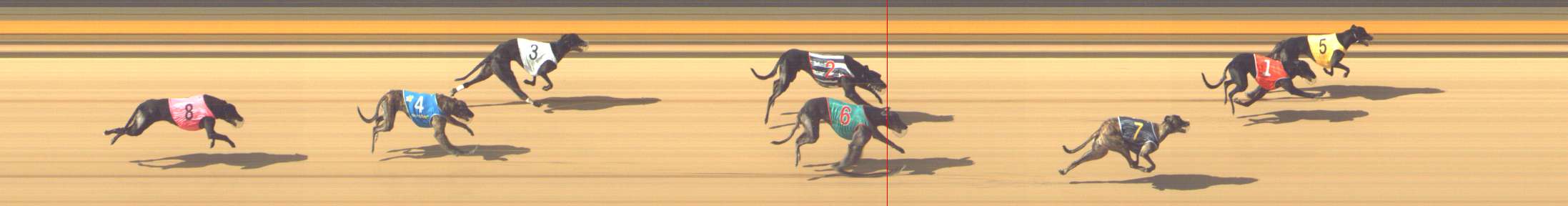 Photo finish for Shepparton Race 5