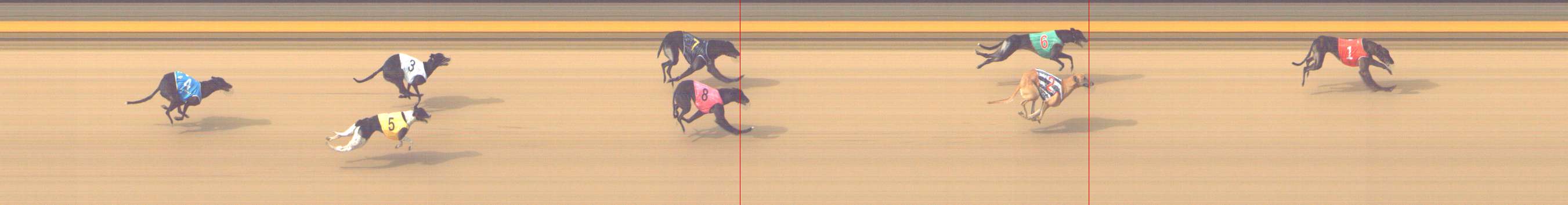 Photo finish for Shepparton Race 6