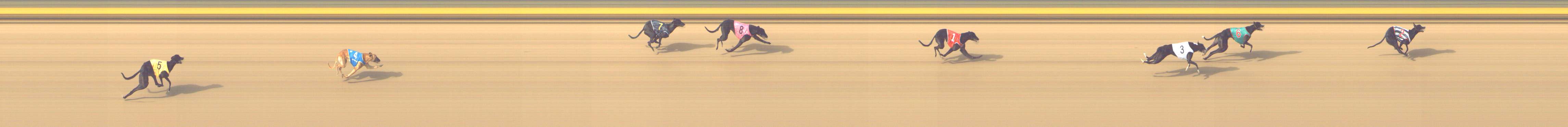 Photo finish for Shepparton Race 7
