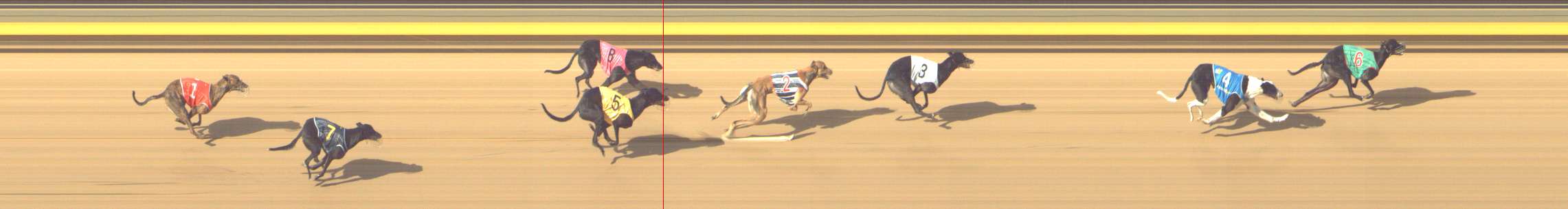 Photo finish for Shepparton Race 8