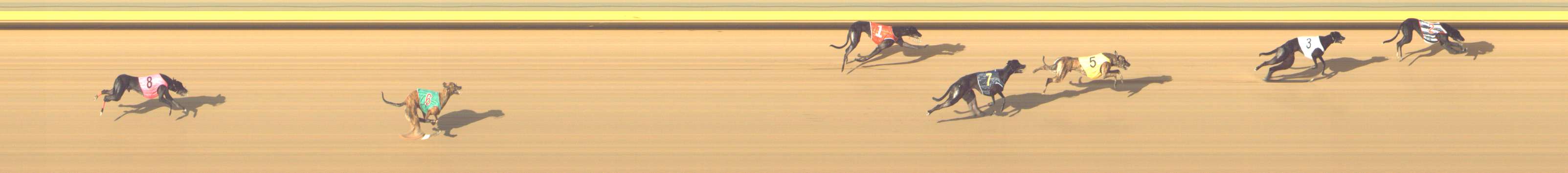 Photo finish for Shepparton Race 10