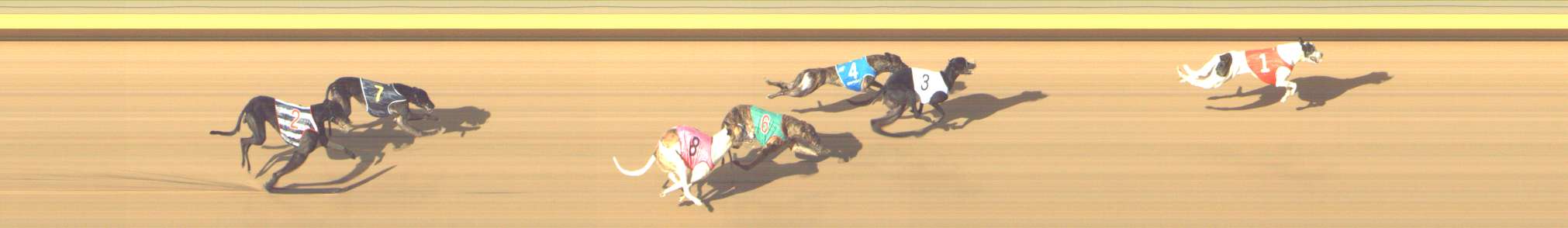 Photo finish for Shepparton Race 11