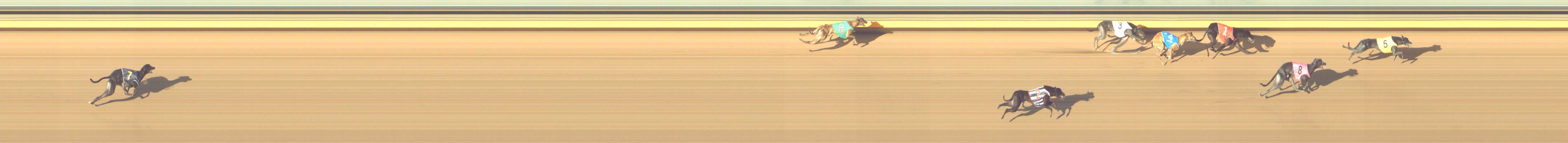 Photo finish for Shepparton Race 12