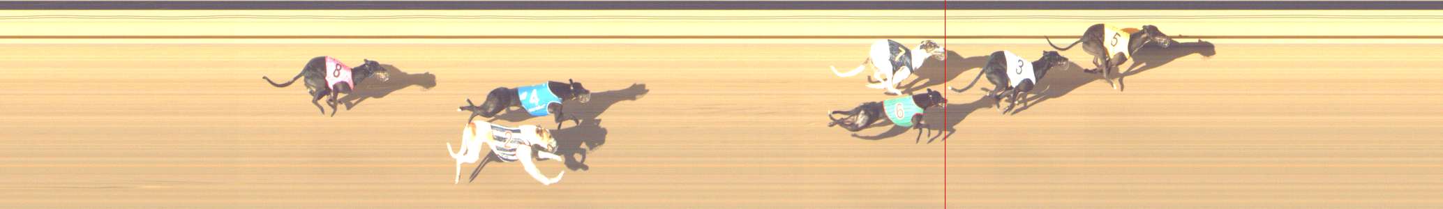 Photo finish for Shepparton Race 13
