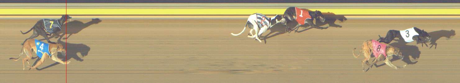 Photo finish for Shepparton Race 1