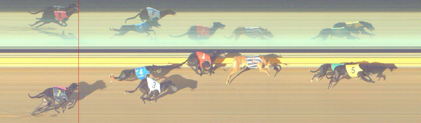 Photo finish for Shepparton Race 2