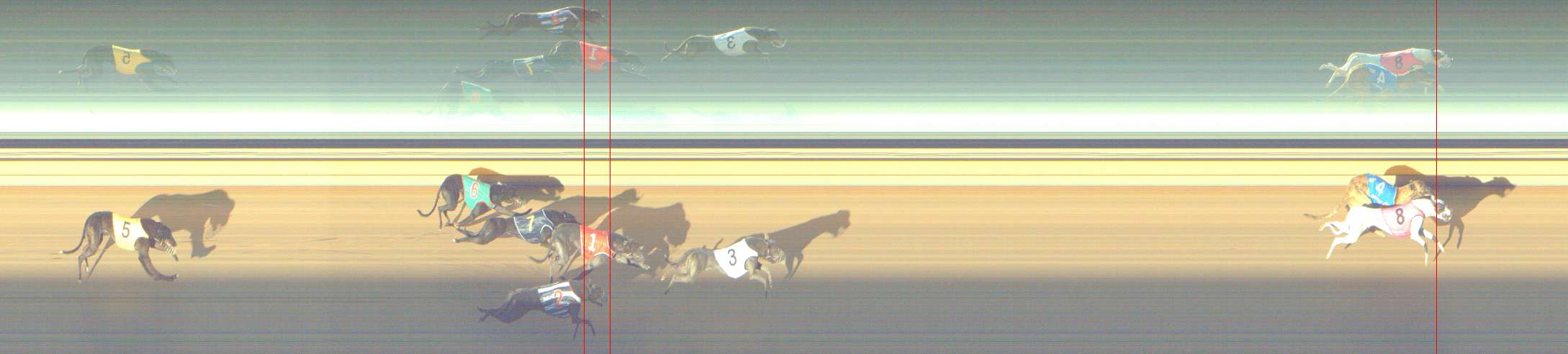 Photo finish for Shepparton Race 3