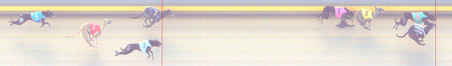 Photo finish for Shepparton Race 4