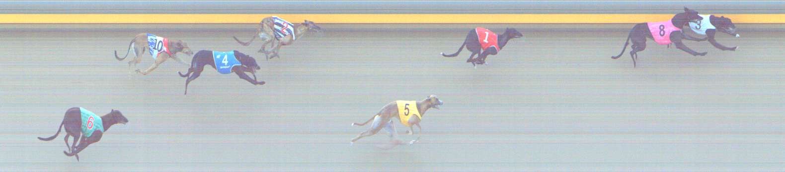 Photo finish for Shepparton Race 5