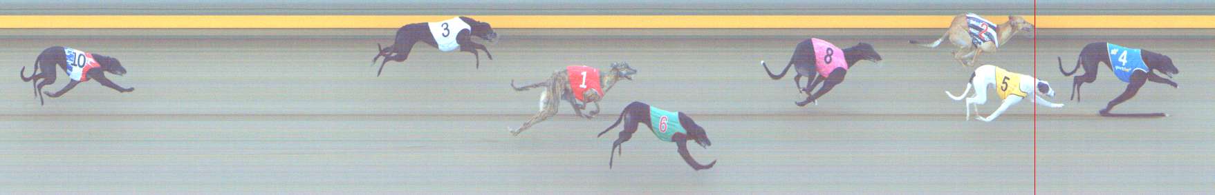 Photo finish for Shepparton Race 6