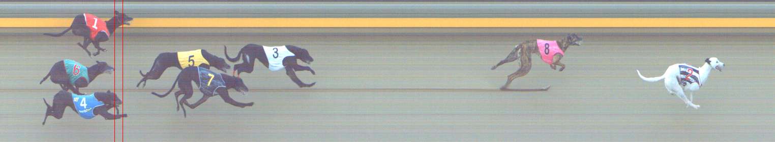 Photo finish for Shepparton Race 7