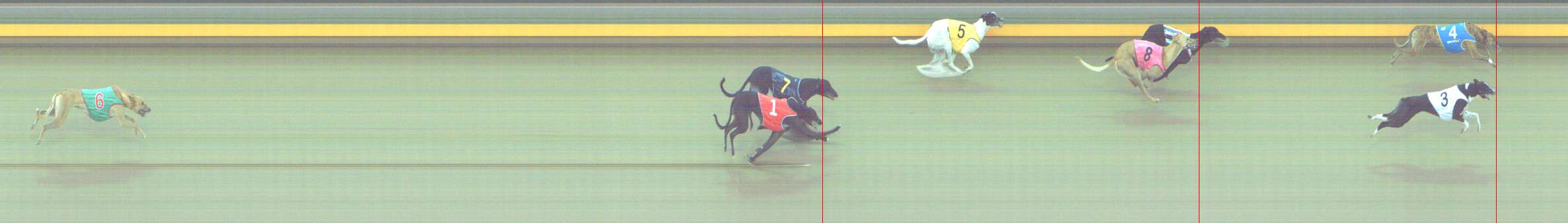 Photo finish for Shepparton Race 8