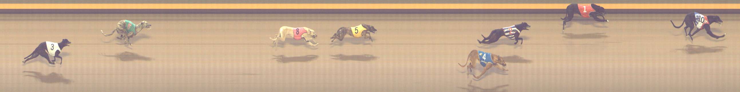 Photo finish for Shepparton Race 9