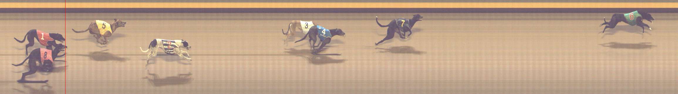 Photo finish for Shepparton Race 10
