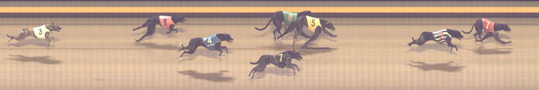 Photo finish for Shepparton Race 11