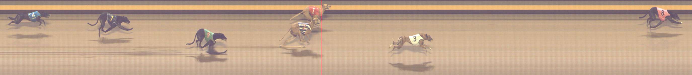 Photo finish for Shepparton Race 12