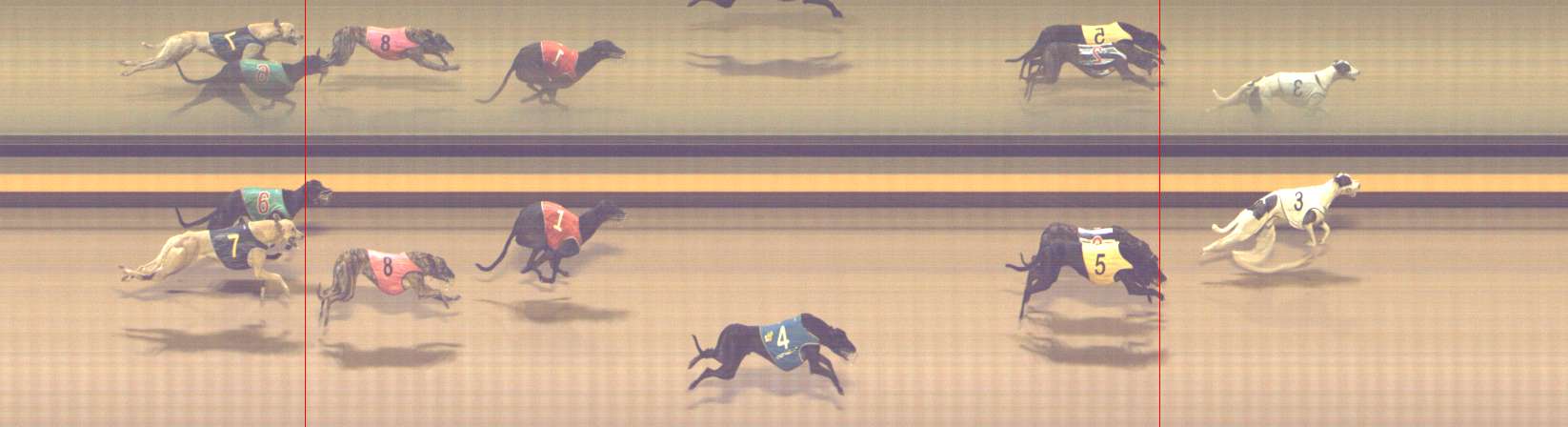 Photo finish for Shepparton Race 13