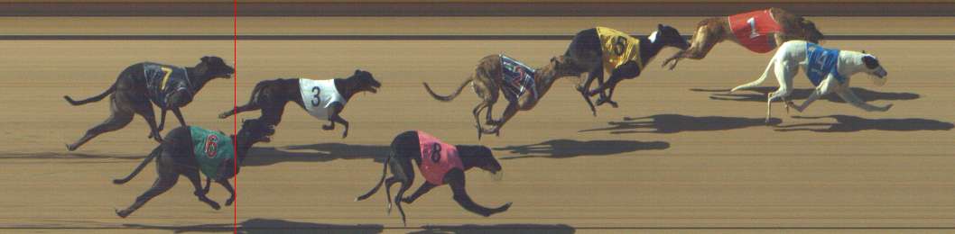 Photo finish for Shepparton Race 1