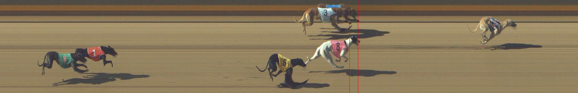 Photo finish for Shepparton Race 2