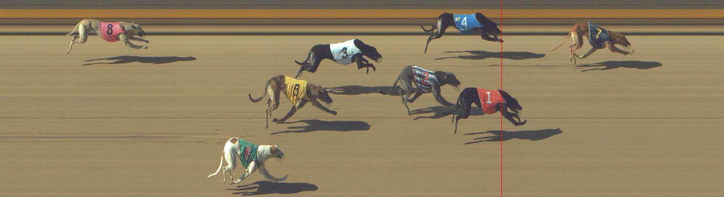 Photo finish for Shepparton Race 3