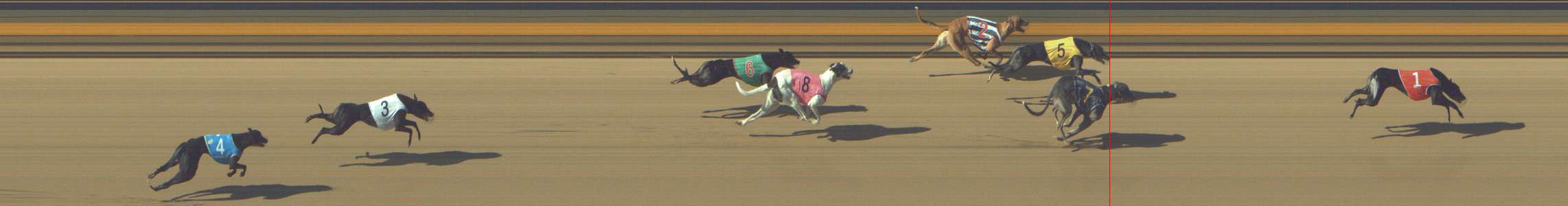 Photo finish for Shepparton Race 4